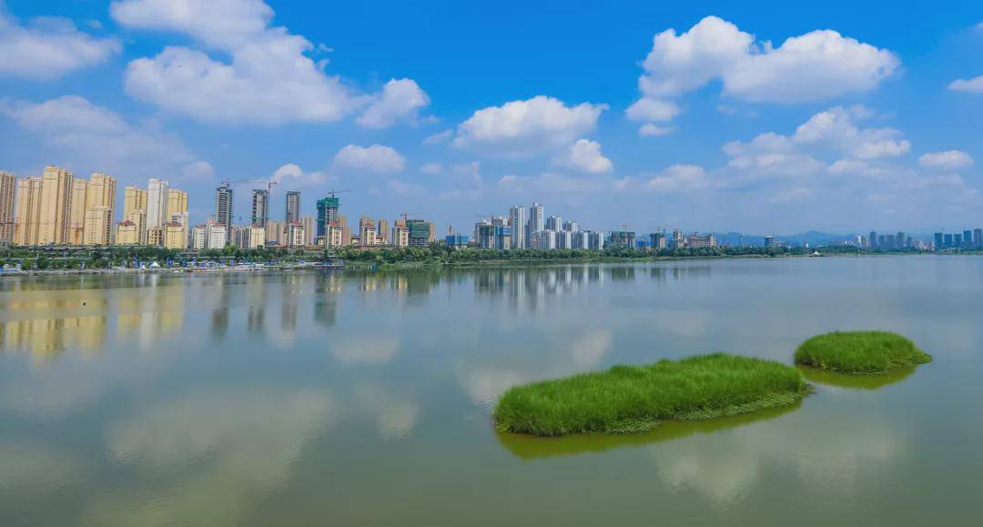守護“一泓清水” 漢中市統(tǒng)籌推動水污染防治的實踐與擔當